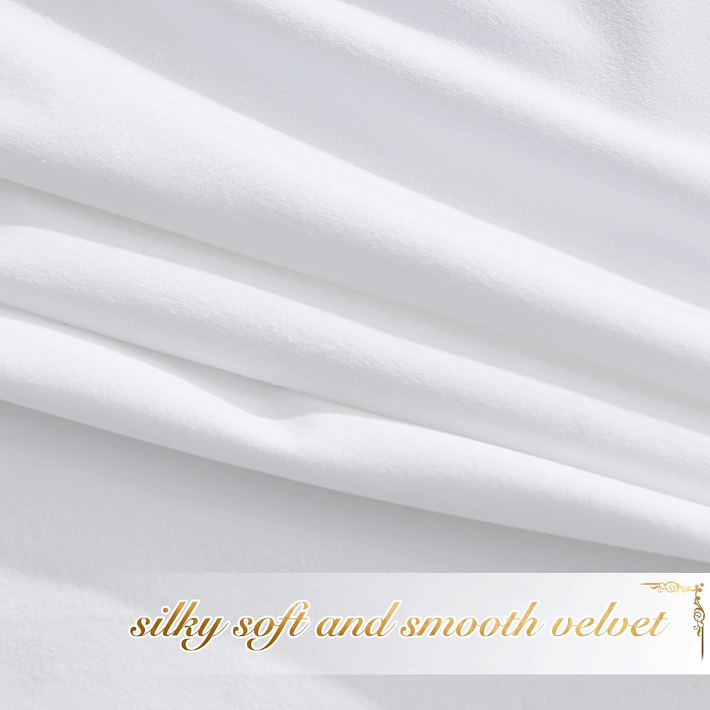 10Ft x 10Ft - White - Royal Velvet Luxury Backdrop Curtains for Home & Parties - 2 Panels 5x10ft for Weddings Birthday Party Curtains